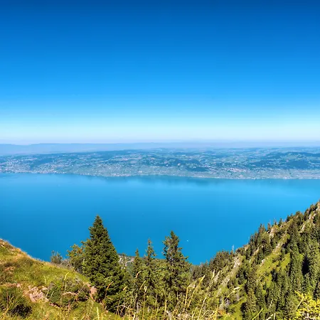 Hotel Zenitude Les Terrasses Du Lac, Ascend Collection 3*
